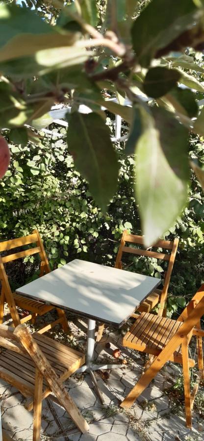 Guesthouse Kishimzhan Talas Εξωτερικό φωτογραφία